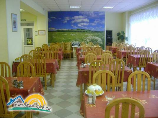 Санаторий «Детскосельский» 