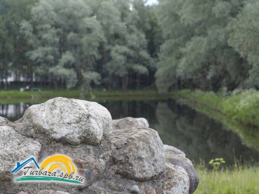 Санаторий «Детскосельский» 