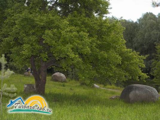 Санаторий «Детскосельский» 