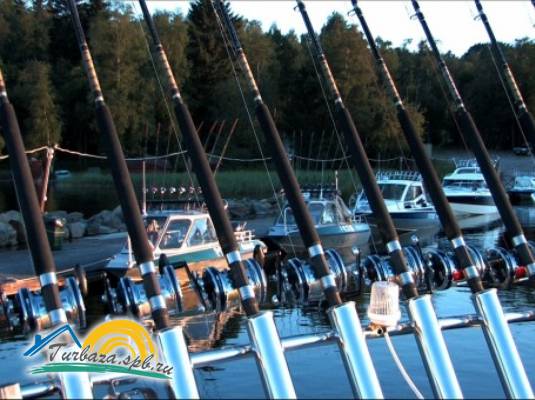 Охотничье хозяйство «Черные камни»