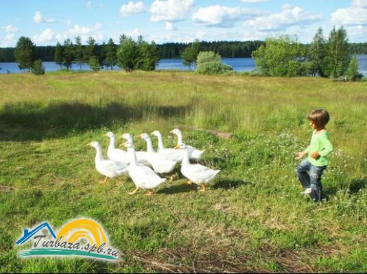 База отдыха «Ветреный пояс»