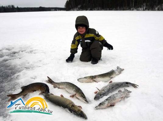 База отдыха «Ветреный пояс»