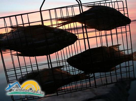 Туристическая база «Драйв Парк Ладога» 