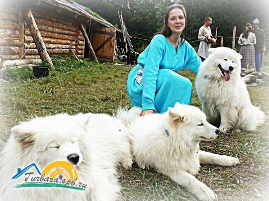 Туристическая база «Драйв Парк Ладога» 