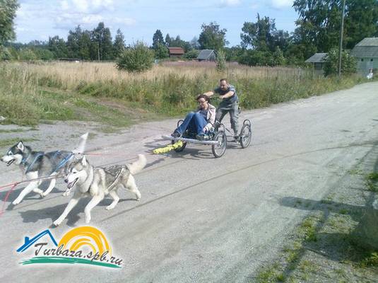 Туристическая база «Драйв Парк Ладога» 