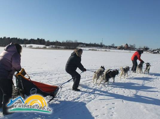 Туристическая база «Драйв Парк Ладога» 
