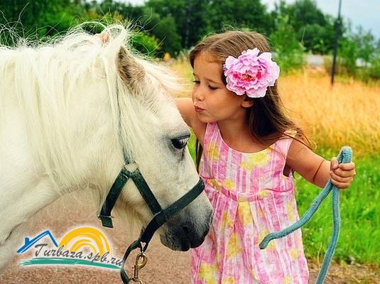 Комплекс «Русская деревня «Шуваловка»