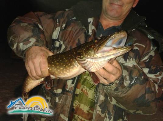 Эко-клуб «Остров»