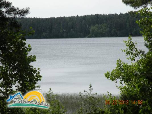 ДОЛ «Пионер»