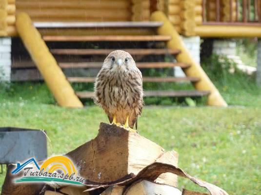 Гостевой дом «Крестики-Нолики»