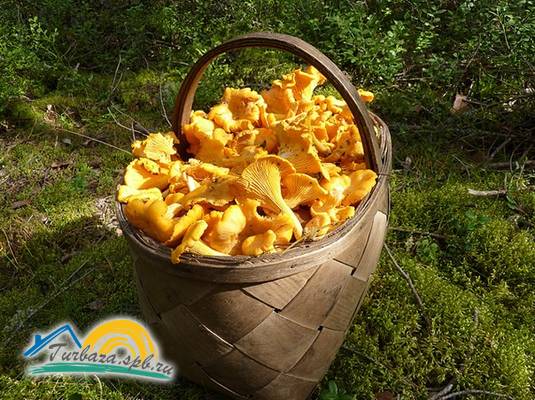 Гостевой дом «Крестики-Нолики»