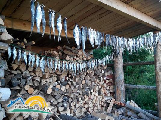 Гостевой дом «Крестики-Нолики»