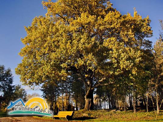 Парк-отель «Яркое»