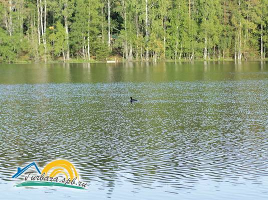 База отдыха «Ахвенлампи»