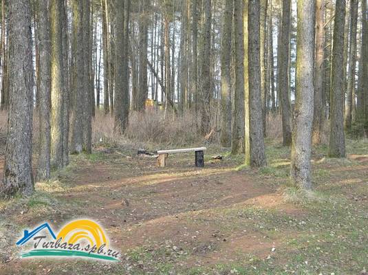 База отдыха «Тярбинка»