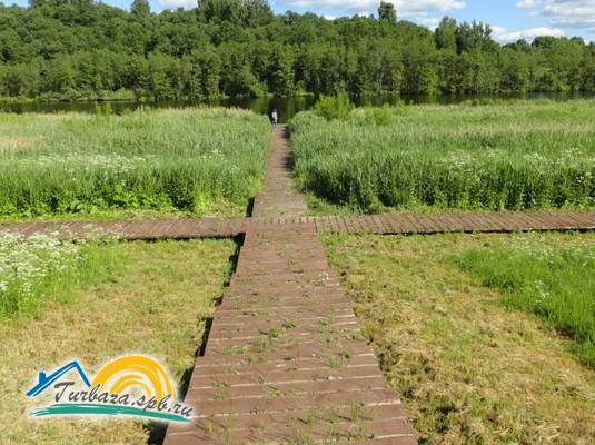 База отдыха «Кудыкина гора»