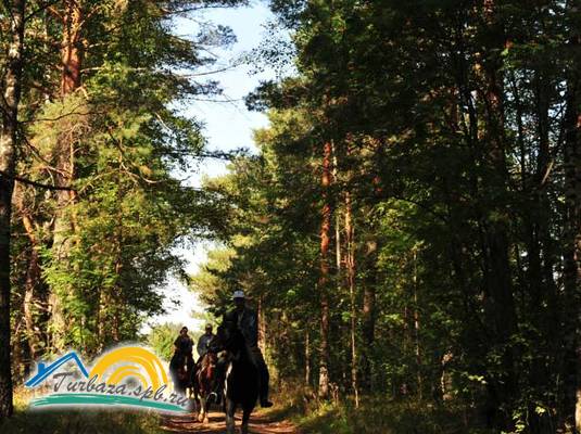 Гостевой дом «Струги»