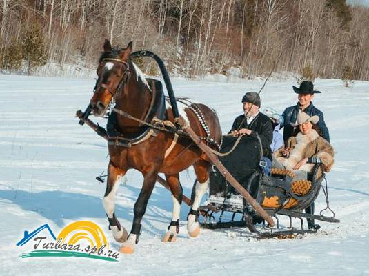 Гостевой дом «Струги»