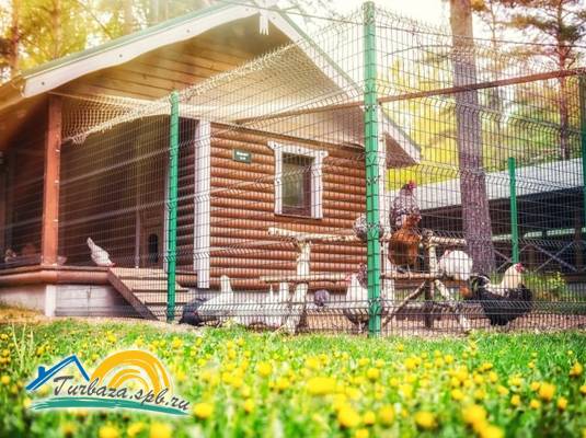 База отдыха «Рыбачий Берег»