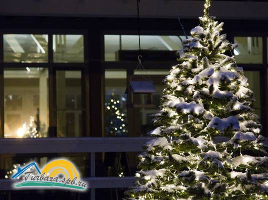 Парк-отель «Коркино Lake»