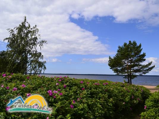 База отдыха «Манола»