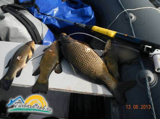 База отдыха «Манола»