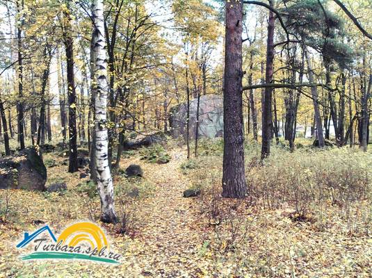 База отдыха «Манола»