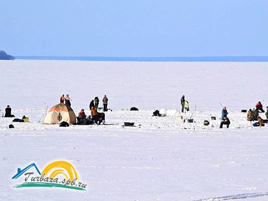 База отдыха «Манола»