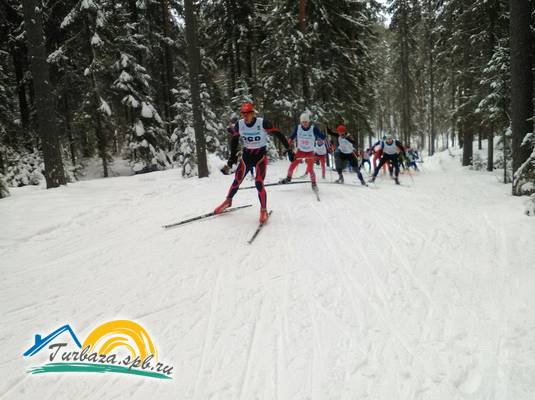 База отдыха «Орехово»