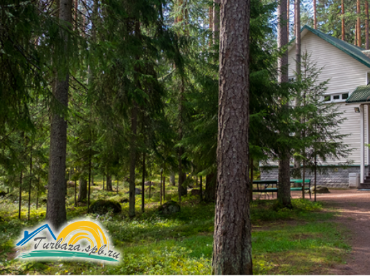 База отдыха «Боровое»