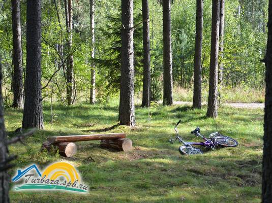 База отдыха «Ладожские дюны»