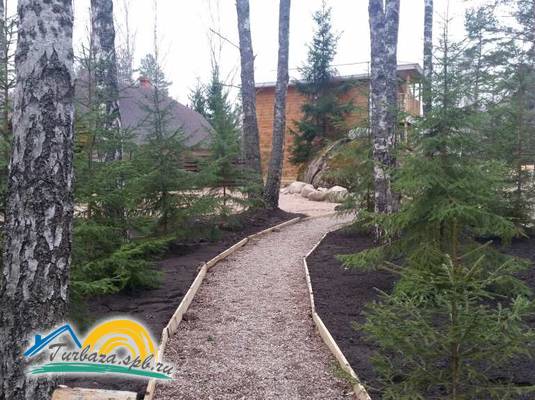 База отдыха «Black Fox»