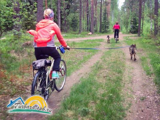 База отдыха «AmigoLand»