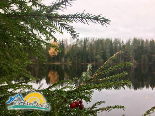 Пикник-парк «ЛесОк»