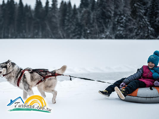Пикник-парк «ЛесОк»