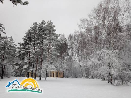 Пикник-парк «ЛесОк»