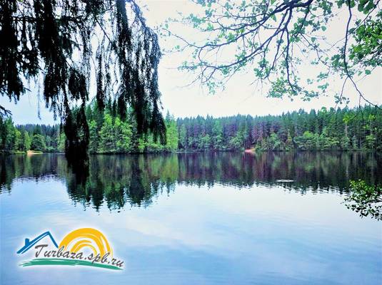 База отдыха «ЛАВАЛЛА ХУТОР»