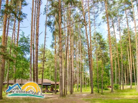 База отдыха «Лосево Парк»