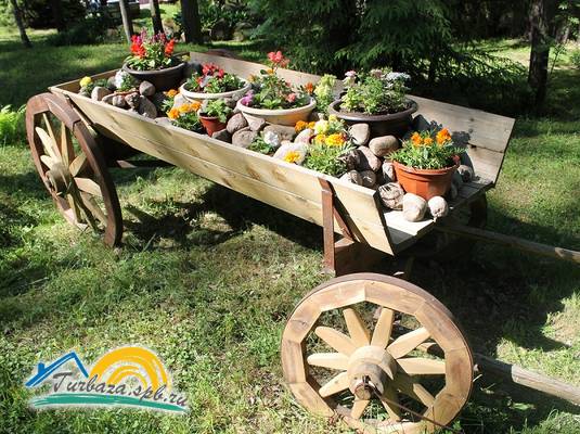 Курорт «Снежный»