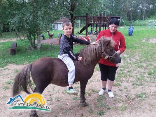 База отдыха «Кот Матроскин»