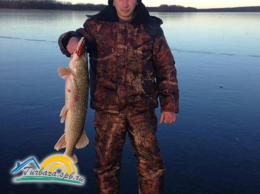 База отдыха «Кот Матроскин»