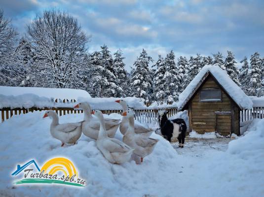 Загородный клуб «Северный Берег»