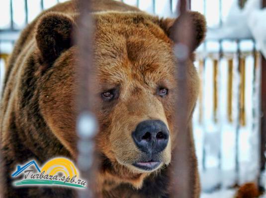 Загородный клуб «Северный Берег»