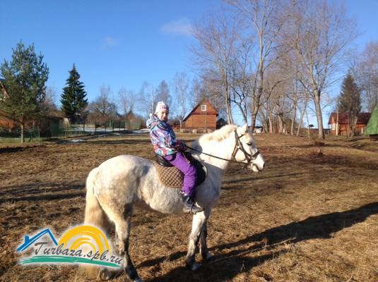 База отдыха «Усадьба Заречье»