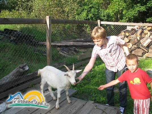 База отдыха «Усадьба Заречье»