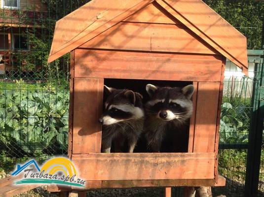 База отдыха «Усадьба Заречье»