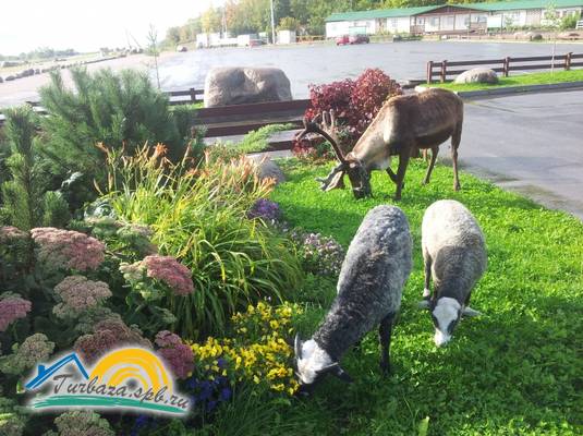 Кемпинг «Туутари парк»