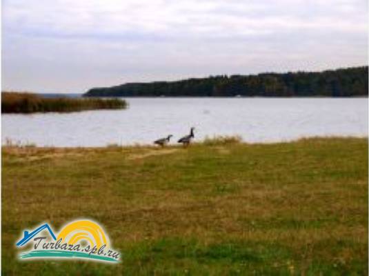 База отдыха «Suvanto Valley»