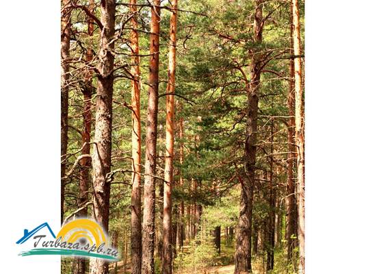 База отдыха «Suvanto Valley»