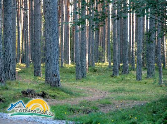 База отдыха «Suvanto Valley»